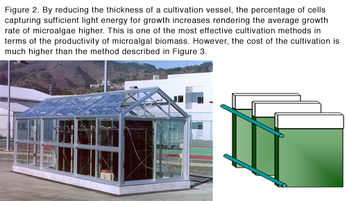 Figure 2  Vertical panel style culture device By making the thickness of the culture tank of microalgae thinner, the percentage of the cells that can absorb light increases; thus the average growth rate will increase. This is an appropriate culture method for proliferating microalgae within short time in high density. However, it is costly as compared with the method described in Figure 3.