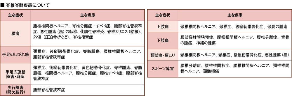 脊椎脊髄疾患について