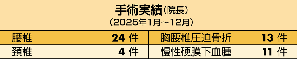 手術実績（院長） 2025年1月～12月
