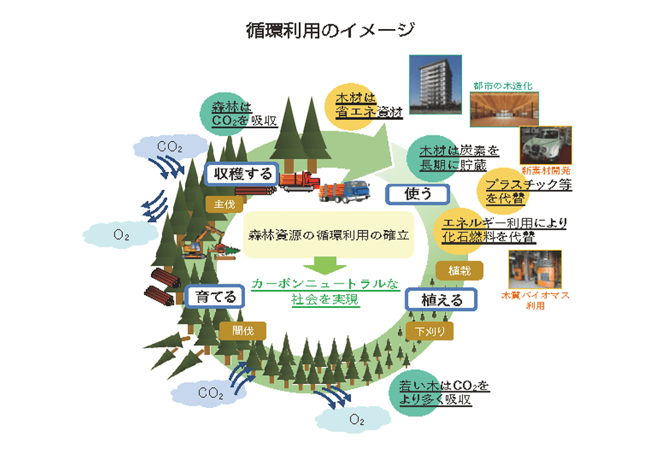 切って使って、植えて育てる」。国産木材の循環利用と強度・デザインの