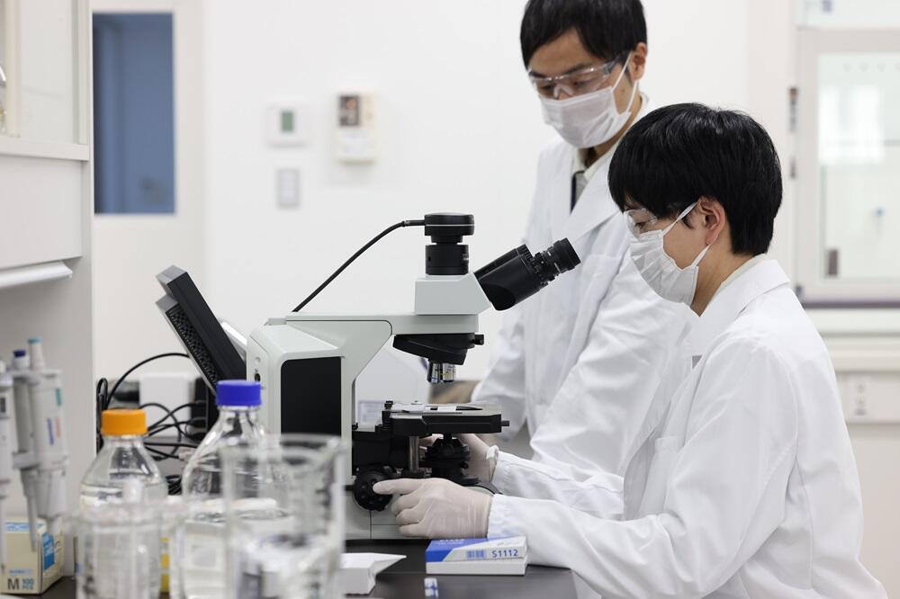 発毛作用最大化と副作用の最小化の両立、使用感の改善に向けて大正製薬ではミノキシジルの研究を続けている
