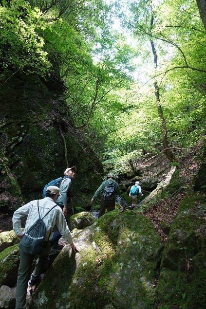 （森林の涵養によって川の氾濫は少なくなり、コケも豊かに育ちやすい）
