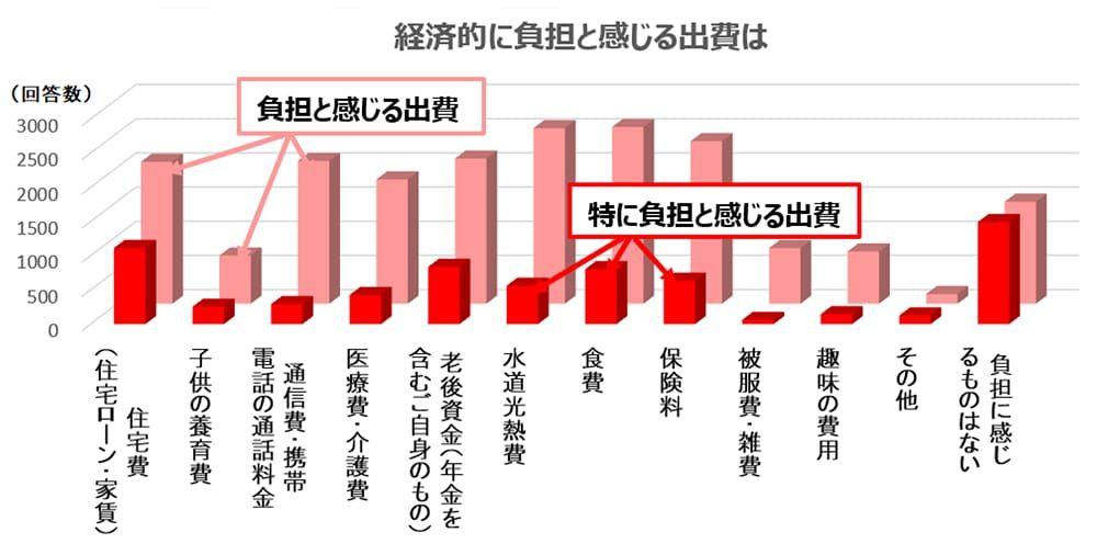 経済的に負担と感じる出費は