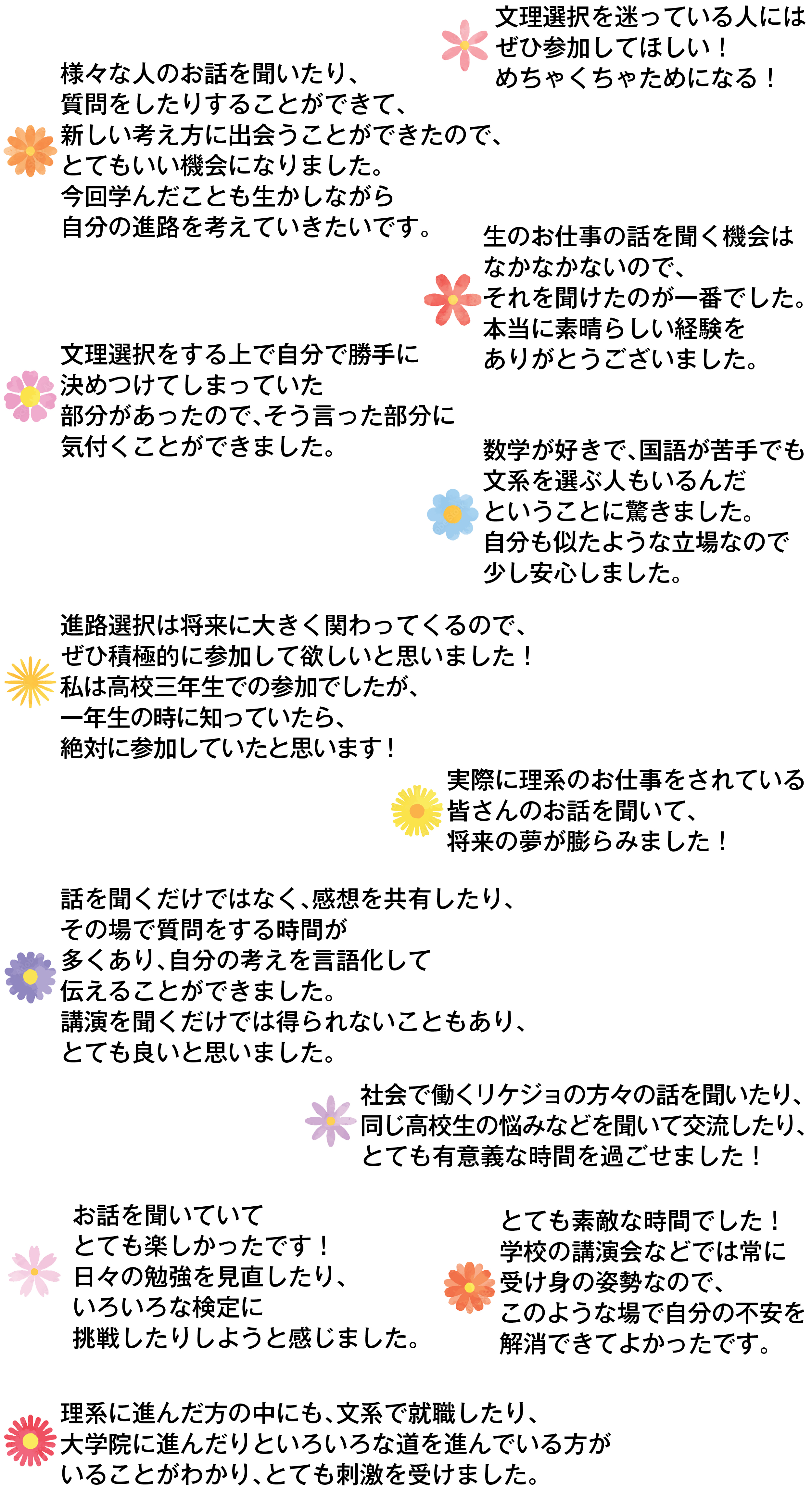 参加者の声