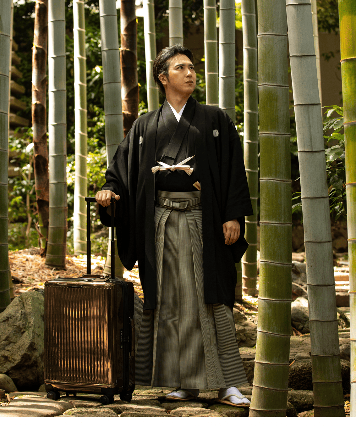 J5 Collection INRYU LTD No.03612